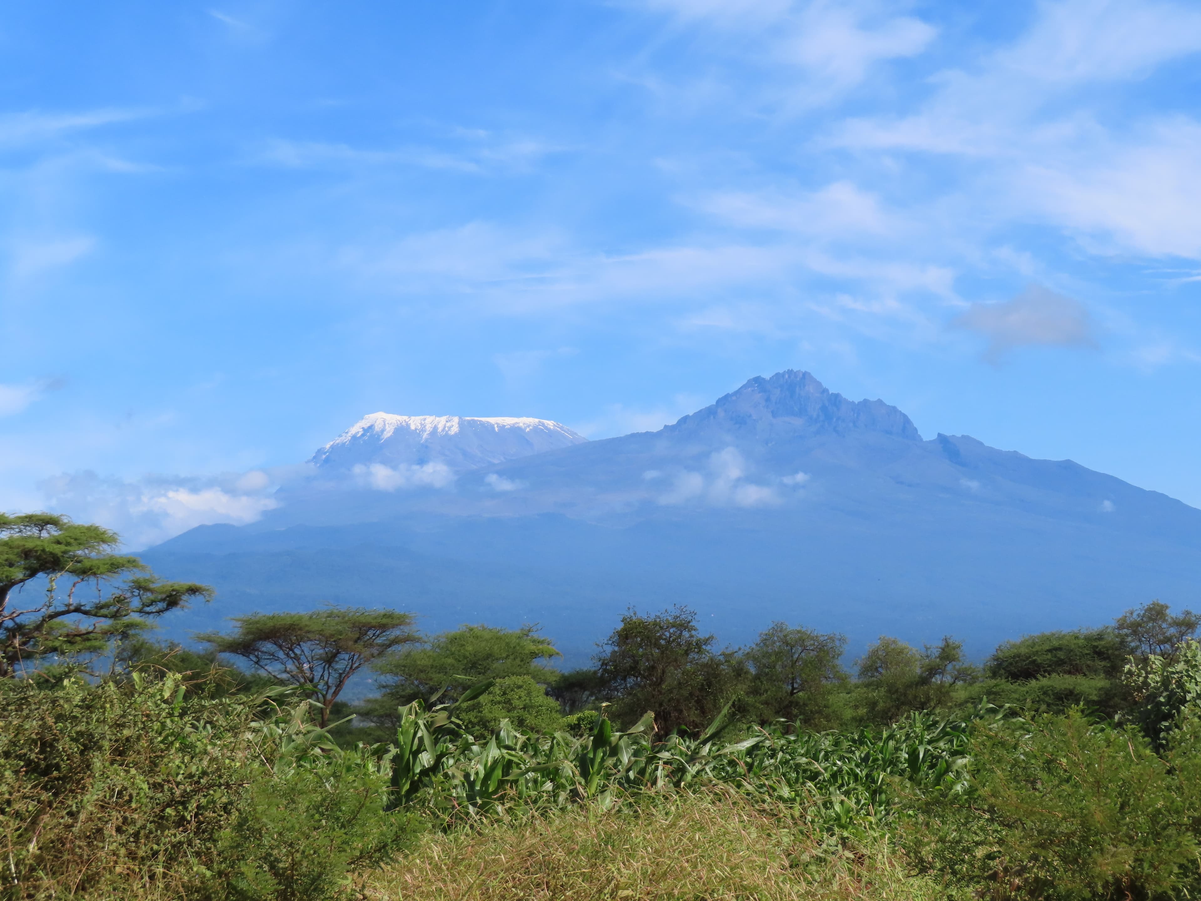 Maonera Farms — Taita Taveta, Kenya