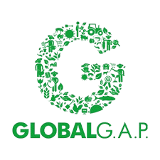 Global GAP Certified
